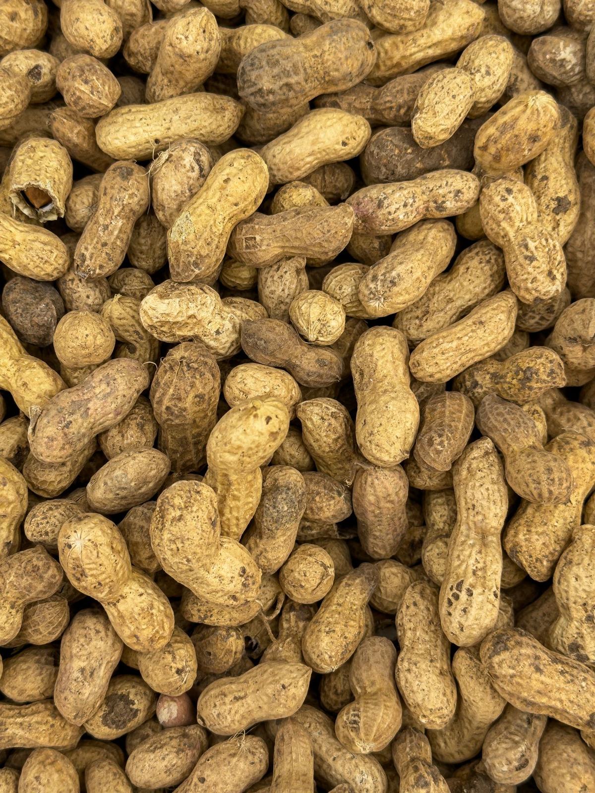 Peanuts